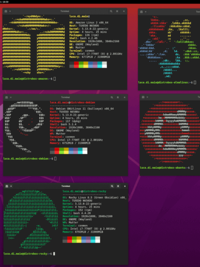 Distrobox: rode qualquer distribuição Linux no terminal