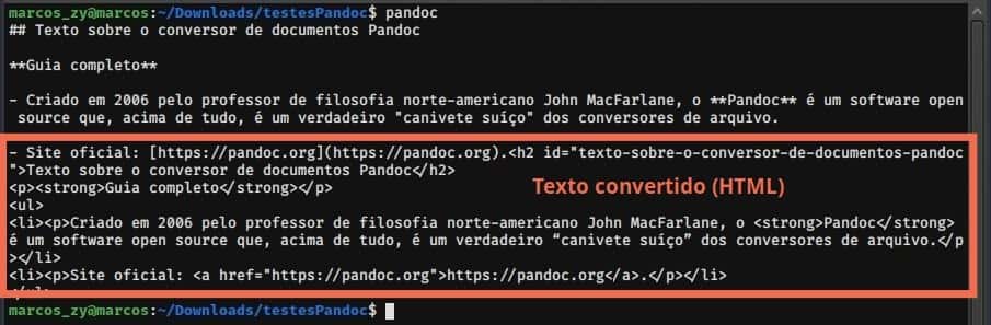 Pandoc - Texto convertido no terminal