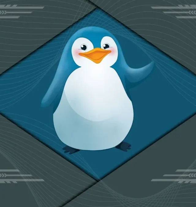 5 ótimas distros Linux para iniciantes