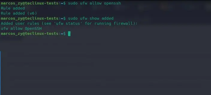 Firewall UFW - Regra permitindo OpenSSH