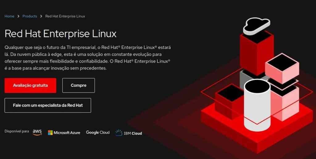Melhores distribuições Linux para servidores - Red Hat Enterprise Linux
